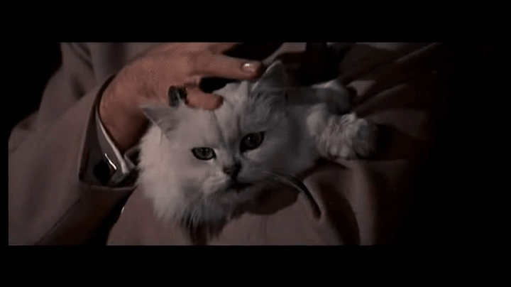 tC-TWA.gif.1f4544bc31e4b89e3c80d8bcfbafbe22.gif