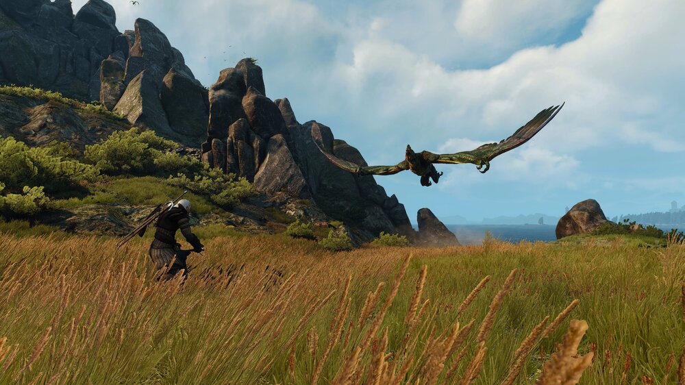 The Witcher 3 Super-Resolution 2019.05.04 - 17.40.59.57.jpg