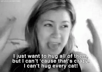cant-hug-every-cat-i-love-cats.gif.b21458f628b1a3f97685ac8d91c208c8.gif