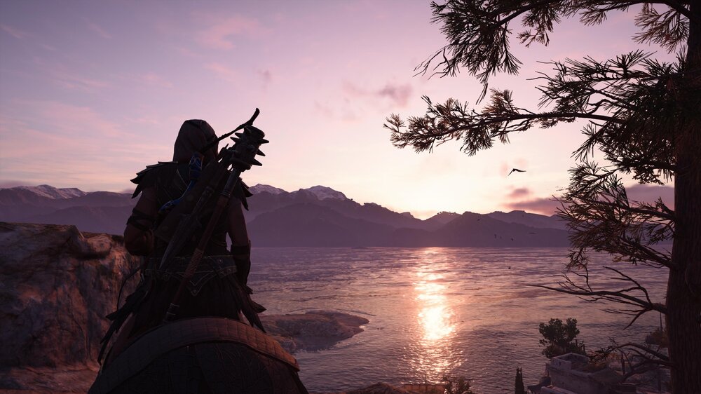 IMG_0238.thumb.jpeg.a5869ad4466e5aba227fc047e532730d.jpeg